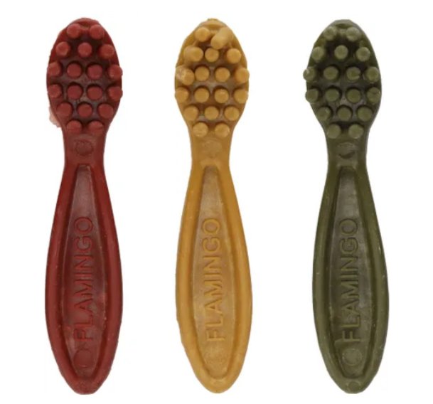 Go Veggie gluten free dental snack